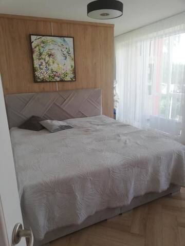 Фото номера Апартаменты с 2 спальнями Апартаменты Lake apartament г. Игналина 9