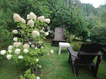 Фото Курортные отели Viešbutis ALDAIVITA г. Игналина 5