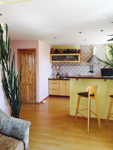 Фото номера Апартаменты с видом на озеро Апартаменты Green Hall apartment г. Игналина 5