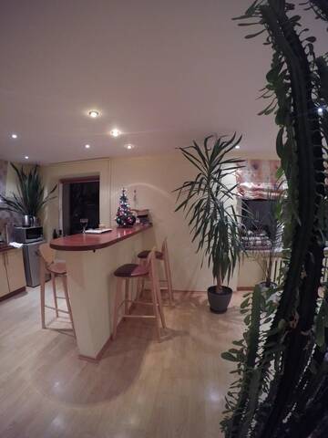 Фото номера Апартаменты с видом на озеро Апартаменты Green Hall apartment г. Игналина 17