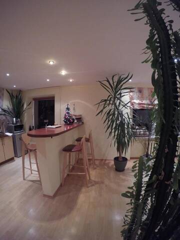 Фото номера Апартаменты с видом на озеро Апартаменты Green Hall apartment г. Игналина 31