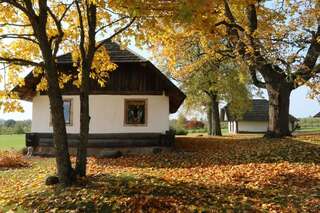 Фото Загородные дома Ažvinčių sodyba г. Игналина